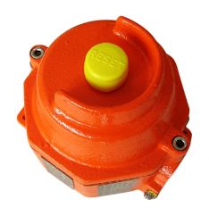 Robertshaw Explosion Proof EURO366G-A8 Vibration Switch